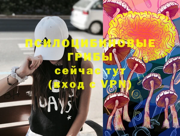 круглые Богданович