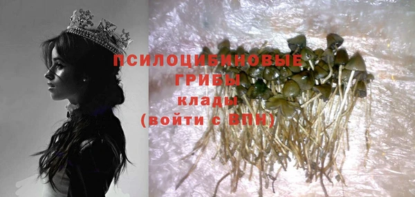 COCAINE Богородицк