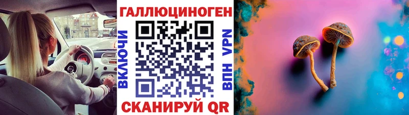 ОМГ ОМГ рабочий сайт  закладка  Моздок  Галлюциногенные грибы прущие грибы 